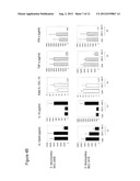 PROBIOTIC CONTAINING MODULES FOR TUBE FEEDING diagram and image