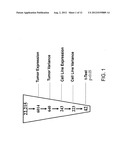 BIOMARKERS AND METHODS FOR DETERMINING SENSITIVITY TO EPIDERMAL GROWTH     FACTOR RECEPTOR MODULATORS diagram and image