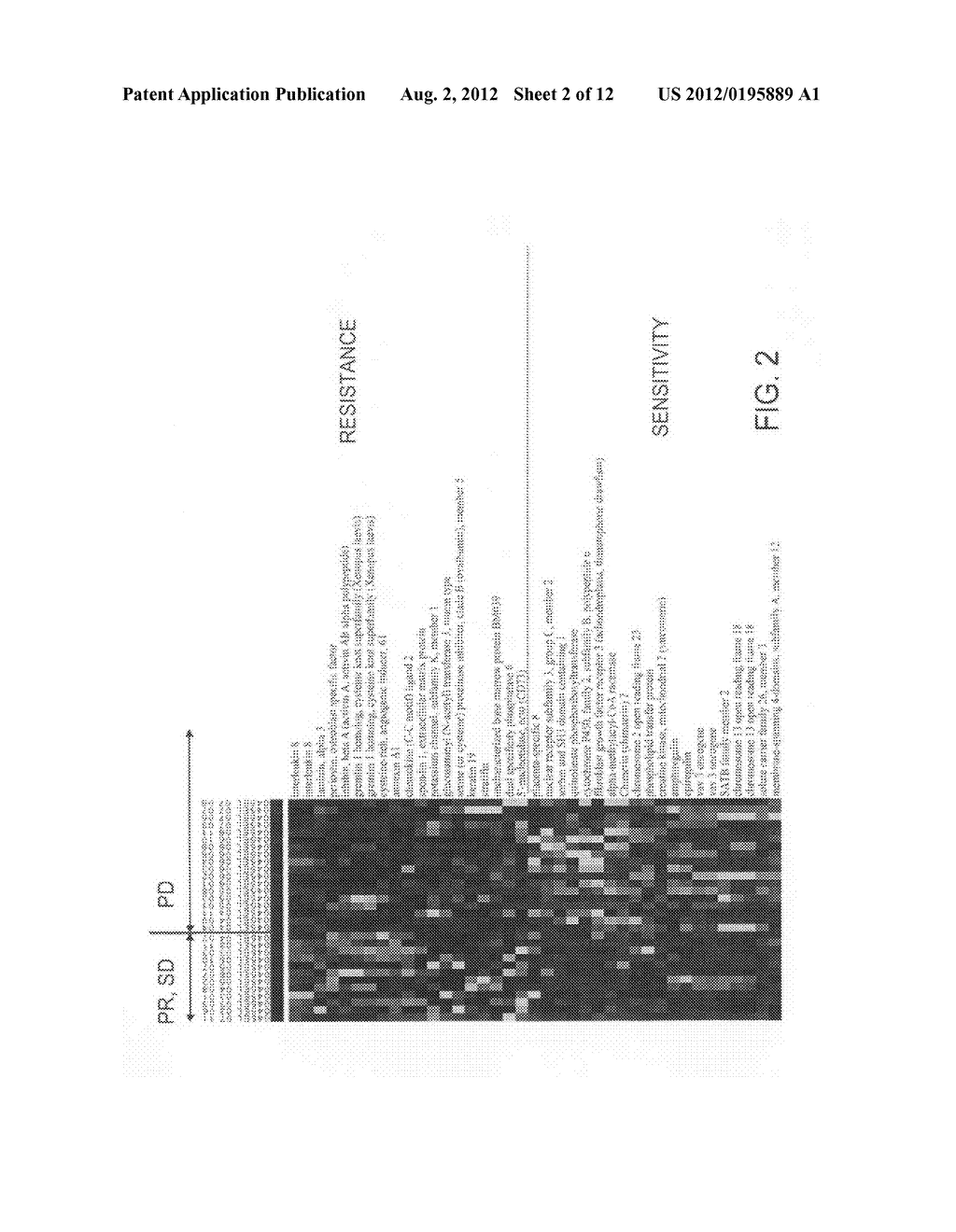 BIOMARKERS AND METHODS FOR DETERMINING SENSITIVITY TO EPIDERMAL GROWTH     FACTOR RECEPTOR MODULATORS - diagram, schematic, and image 03