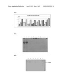 MONOCLONAL ANTIBODIES AGAINST THE PBP2-A PROTEIN AND HOMOLOGOUS SEQUENCES     FOR THE TREATMENT OF INFECTIONS BY AND IMMUNODIAGNOSTICS OF BACTERIA OF     THE FIRMICUTES PHYLUM diagram and image