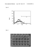 MONOCLONAL ANTIBODIES AGAINST THE PBP2-A PROTEIN AND HOMOLOGOUS SEQUENCES     FOR THE TREATMENT OF INFECTIONS BY AND IMMUNODIAGNOSTICS OF BACTERIA OF     THE FIRMICUTES PHYLUM diagram and image