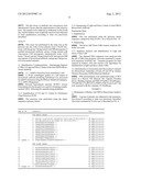 MONOCLONAL ANTIBODIES AGAINST THE PBP2-A PROTEIN AND HOMOLOGOUS SEQUENCES     FOR THE TREATMENT OF INFECTIONS BY AND IMMUNODIAGNOSTICS OF BACTERIA OF     THE FIRMICUTES PHYLUM diagram and image