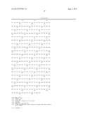 MONOCLONAL ANTIBODIES AGAINST THE PBP2-A PROTEIN AND HOMOLOGOUS SEQUENCES     FOR THE TREATMENT OF INFECTIONS BY AND IMMUNODIAGNOSTICS OF BACTERIA OF     THE FIRMICUTES PHYLUM diagram and image