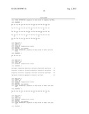 MONOCLONAL ANTIBODIES AGAINST THE PBP2-A PROTEIN AND HOMOLOGOUS SEQUENCES     FOR THE TREATMENT OF INFECTIONS BY AND IMMUNODIAGNOSTICS OF BACTERIA OF     THE FIRMICUTES PHYLUM diagram and image