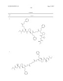 IAP BIR domain binding compounds diagram and image