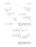 IAP BIR domain binding compounds diagram and image