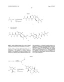 IAP BIR domain binding compounds diagram and image