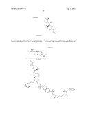 IAP BIR domain binding compounds diagram and image