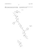 IAP BIR domain binding compounds diagram and image