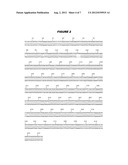 HYBRID AND TANDEM EXPRESSION OF NEISSERIAL PROTEINS diagram and image