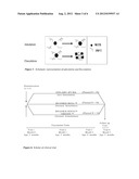 POLYANIONIC POLYMER ADJUVANTS FOR HAEMOPHILUS INFLUENZAE B SACCHARIDE     VACCINES diagram and image