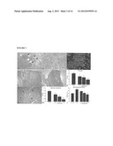 PARENTERAL COMPOSITION COMPRISING MICROSPHERES WITH A DIAMETER BETWEEN 10     AND 20 MICRONS diagram and image