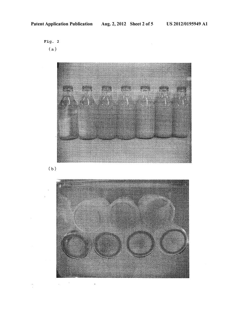 TURMERIC PIGMENT COMPOSITION AND METHOD FOR PREPARING SAME - diagram, schematic, and image 03
