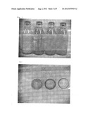 TURMERIC PIGMENT COMPOSITION AND METHOD FOR PREPARING SAME diagram and image