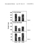 METHOD FOR TREATING DISEASE OR DISORDER OF ADULT CENTRAL NERVOUS SYSTEM     ASSOCIATED WITH TISSUE SHRINKAGE OR ATROPHY BY ADMINISTRATION OF INSULIN diagram and image