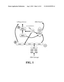 CAPCNA PEPTIDE THERAPEUTICS FOR CANCER diagram and image