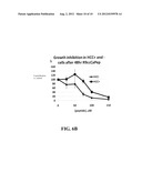 CAPCNA PEPTIDE THERAPEUTICS FOR CANCER diagram and image