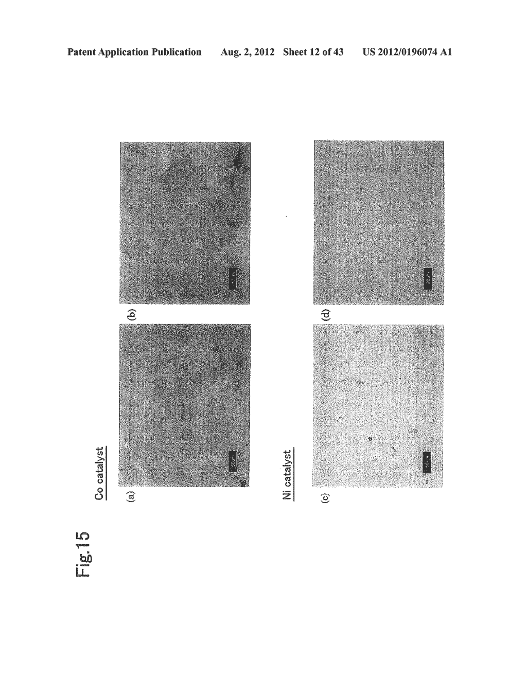 GRAPHENE SHEET AND METHOD FOR PRODUCING THE SAME - diagram, schematic, and image 13