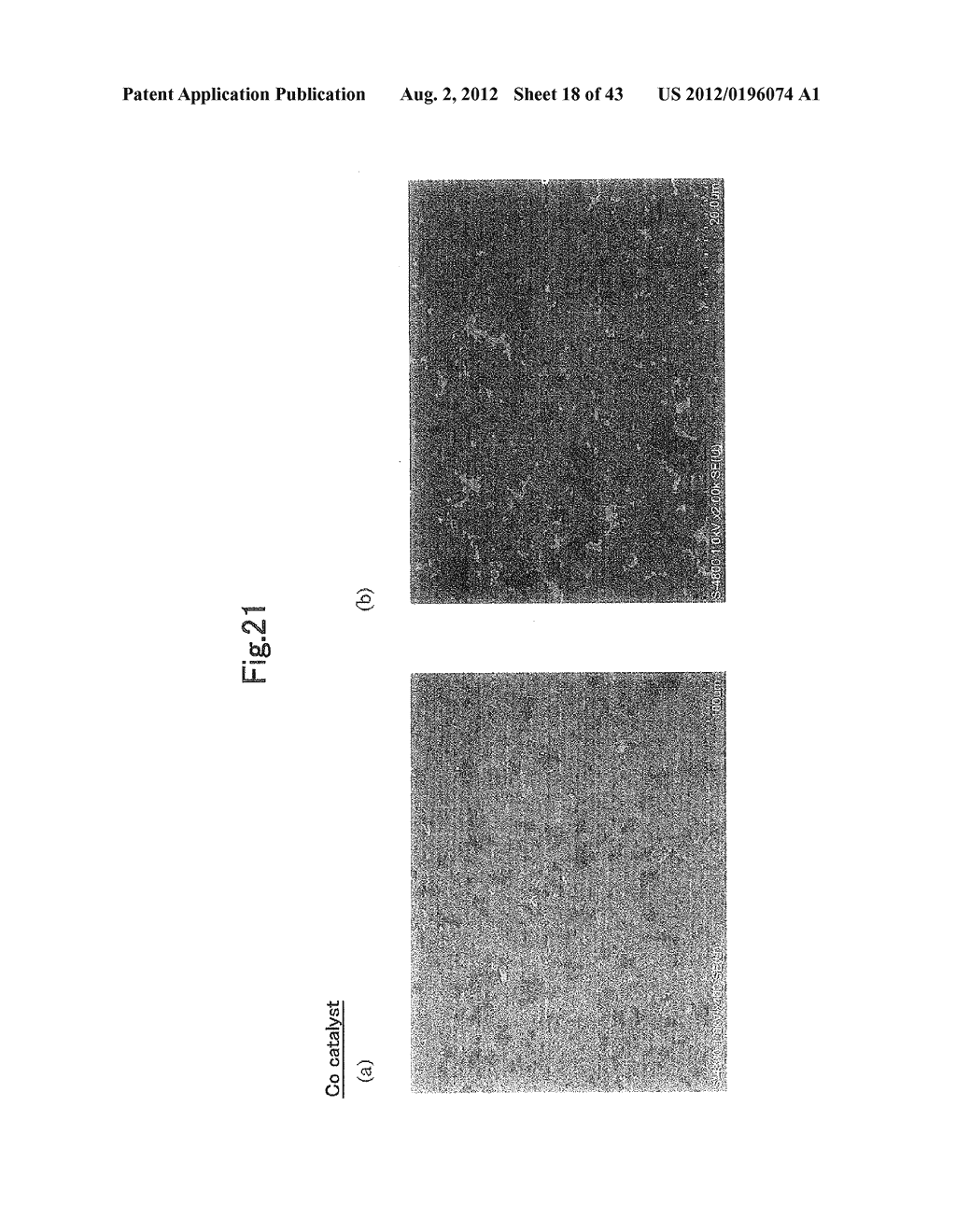 GRAPHENE SHEET AND METHOD FOR PRODUCING THE SAME - diagram, schematic, and image 19