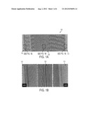 HYBRID-GUIDED BLOCK COPOLYMER ASSEMBLY diagram and image