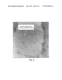 HYBRID-GUIDED BLOCK COPOLYMER ASSEMBLY diagram and image