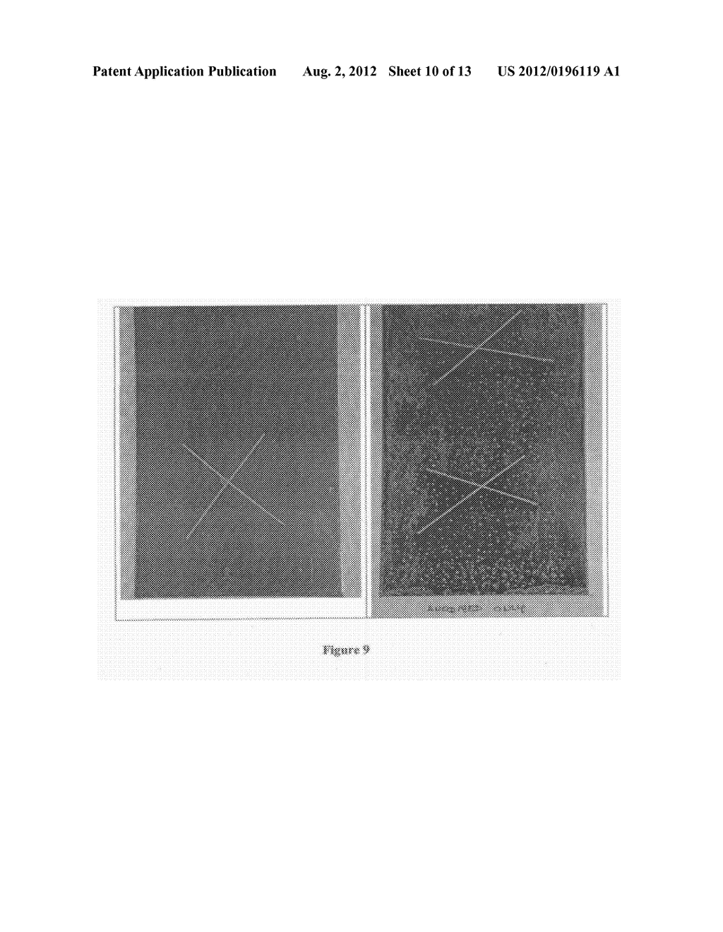 Protective coatings for metals - diagram, schematic, and image 11