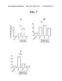 MULTICELLULAR ORGANOTYPIC MODEL OF HUMAN INTESTINAL MUCOSA diagram and image