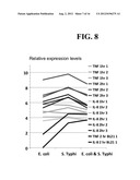 MULTICELLULAR ORGANOTYPIC MODEL OF HUMAN INTESTINAL MUCOSA diagram and image