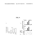 MULTICELLULAR ORGANOTYPIC MODEL OF HUMAN INTESTINAL MUCOSA diagram and image