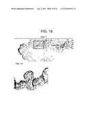 MULTICELLULAR ORGANOTYPIC MODEL OF HUMAN INTESTINAL MUCOSA diagram and image