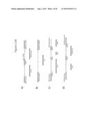 METHODS OF DEVELOPING TERPENE SYNTHASE VARIANTS diagram and image