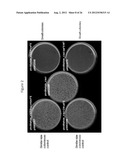 METHODS OF DEVELOPING TERPENE SYNTHASE VARIANTS diagram and image