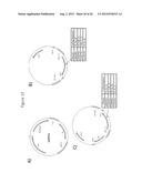 METHODS OF DEVELOPING TERPENE SYNTHASE VARIANTS diagram and image