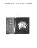 Optical Projection Tomography Microscopy (OPTM) for Large Specimen Sizes diagram and image