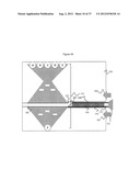 Optical Projection Tomography Microscopy (OPTM) for Large Specimen Sizes diagram and image