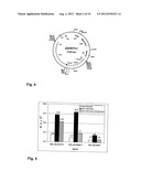 Fermentation Process diagram and image