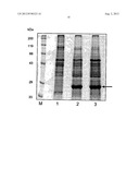 Fermentation Process diagram and image