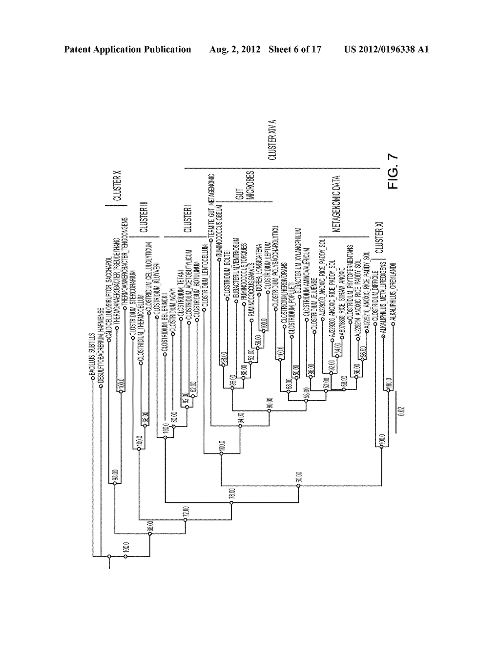 METHODS AND COMPOSITIONS FOR IMPROVING THE PRODUCTION OF PRODUCTS IN     MICROORGANISMS - diagram, schematic, and image 07