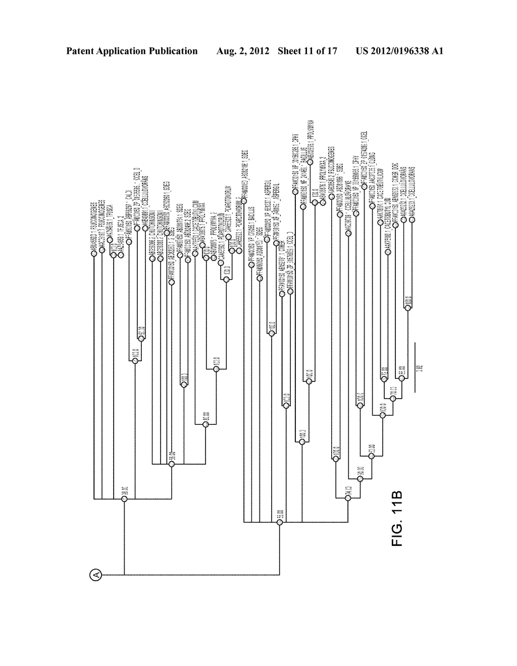 METHODS AND COMPOSITIONS FOR IMPROVING THE PRODUCTION OF PRODUCTS IN     MICROORGANISMS - diagram, schematic, and image 12