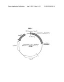 Industrial Applications of A Novel Aldo/Keto Reductase Of Zymomonas     Mobilis diagram and image