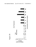 Differentiation of Pluripotent Stem Cells diagram and image