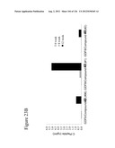 Differentiation of Pluripotent Stem Cells diagram and image