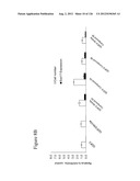 Differentiation of Pluripotent Stem Cells diagram and image