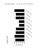 Differentiation of Pluripotent Stem Cells diagram and image