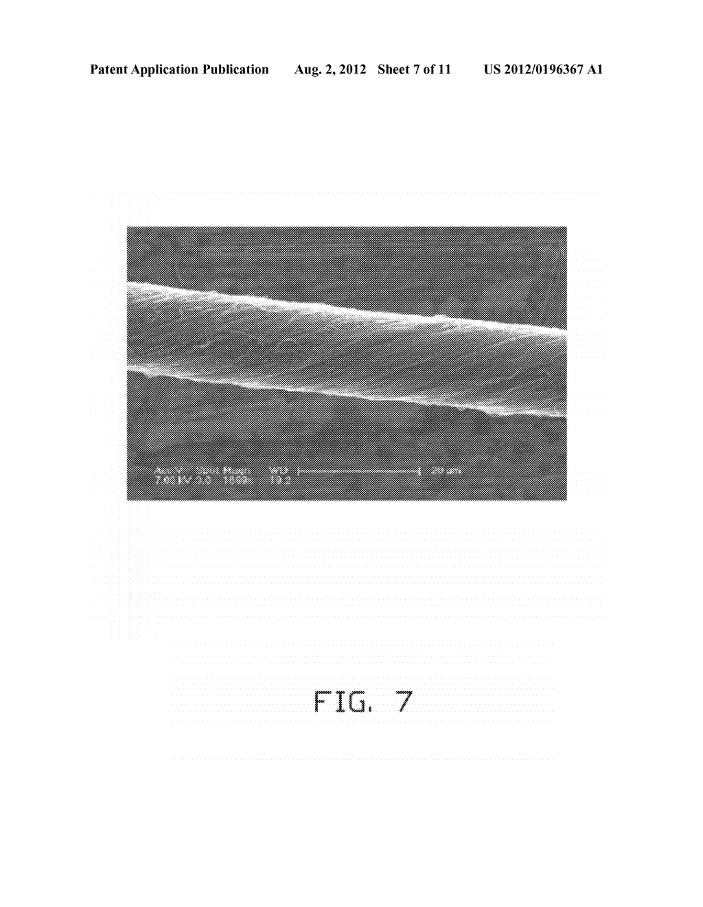 METHOD FOR CULTURING CELLS ON CULTURE MEDIUM - diagram, schematic, and image 08