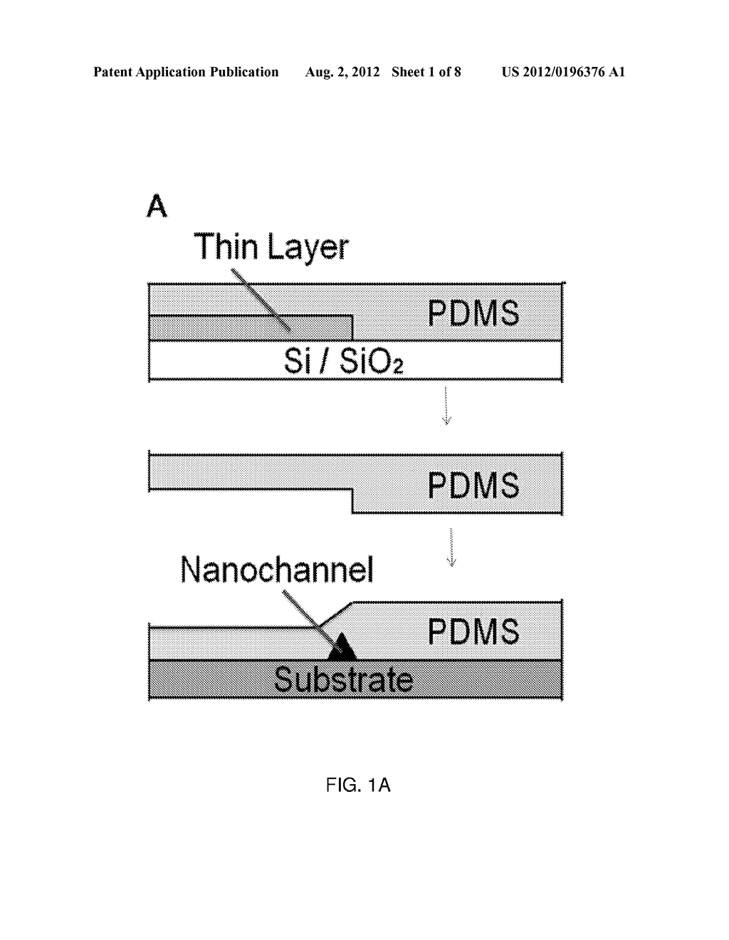 NANOFILTER DEVICES USING ELASTOMERIC MICRO TO NANOCHANNEL INTERFACES AND     METHODS BASED THEREON - diagram, schematic, and image 02