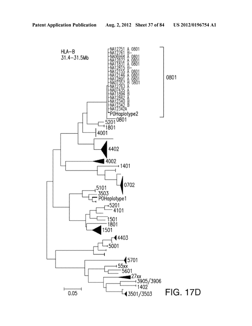 NON-INVASIVE DETERMINATION OF FETAL INHERITANCE OF PARENTAL HAPLOTYPES AT     THE GENOME-WIDE SCALE - diagram, schematic, and image 38