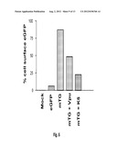 METHODS AND COMPOSITIONS FOR IDENTIFYING MODULATORS OF ANTI-TETHERIN     ACTIVITY TO INHIBIT PROPAGATION OF VIRUSES diagram and image