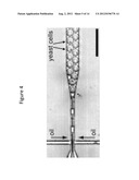 GEL-ENCAPSULATED MICROCOLONY SCREENING diagram and image