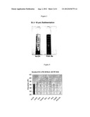 Cutting Fluids with Improved Performance diagram and image